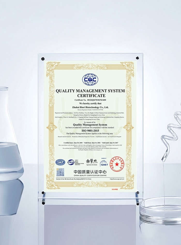 ISO 9001 2015